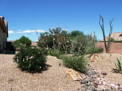 Large Side Yard