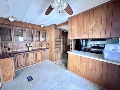 150 Maple Ln, Manteno, IL 60950 - photo 7