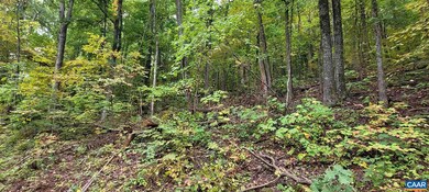 0 Barrow Ln unit 623164, Stanardsville, VA 22973 - photo 5