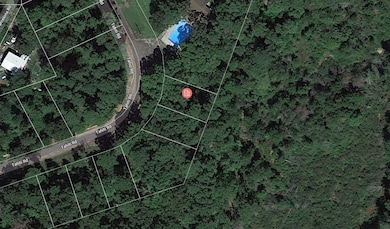 Tahiti Dr, Jefferson, TX 75657 - photo 5