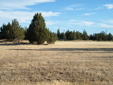 3526 NE Xenolith St, Terrebonne, OR 97760 - photo 6