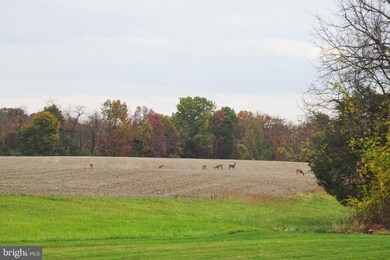 12052 Grant Shook Rd, Greencastle, PA 17225 - photo 4