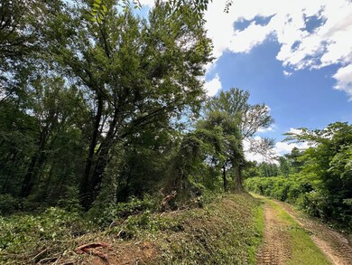 + - 58 Acres unit Holmes County MS, Lexington, MS 39095 - photo 6