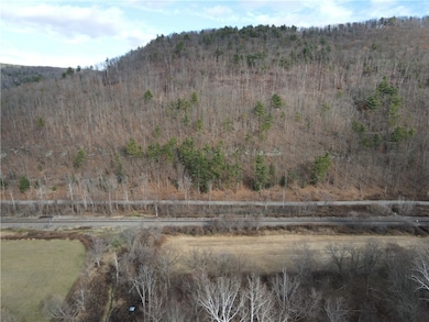 VL County Route 119 N, Cameron, NY 14819 - photo 2