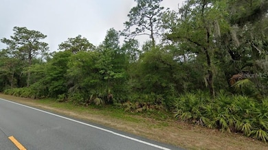 9850 W Dunnellon Rd unit 1, Crystal River, FL 34428 - photo 3