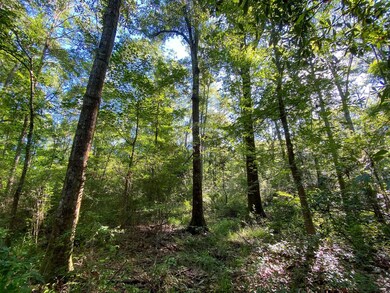 ParceL A S, Taylorsville, MS 39168 - photo 4