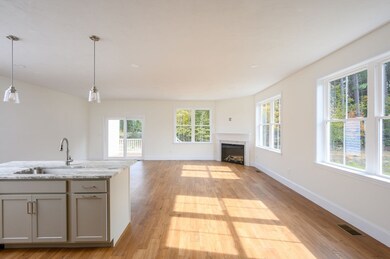 1 Hayford Trail unit 9, Hanson, MA 02341 - photo 4