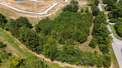 0 Carrell Lot 2 St unit 39857295, Tomball, TX 77375 - photo 4