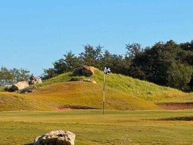 320 Clubhouse Dr, Graford, TX 76449 - photo 3