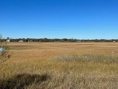 Marsh View