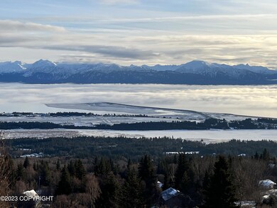 Homer Spit View