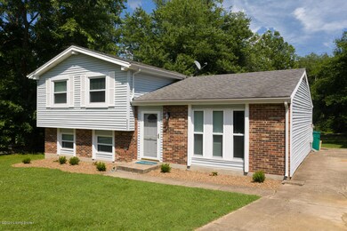 8803 William Penn Way, Louisville, KY 40228 - photo 4