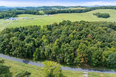 TBD Old B and O Rd, Spottswood, VA 24476 - photo 4