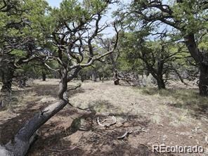4584 Laidlaw, Fort Garland, CO 81133 - photo 2
