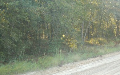 0 Reno Way unit 91449, Fort White, FL 32038 - photo 4