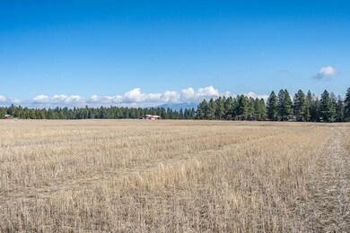 17XX W Monroe Rd, Colbert, WA 99005 - photo 7