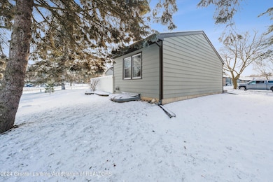 04-501-N-Scott-St-DeWitt-MI-48820-Window