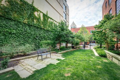 Park area