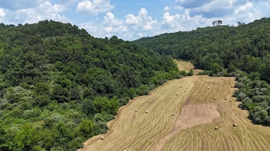 Sr 34 S, Hurricane, WV 25526 - photo 7