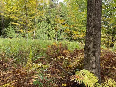 1109 Brookfield Rd, Berlin, VT 05602 - photo 5