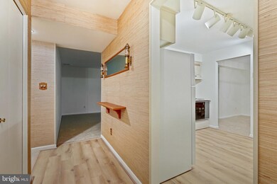 4 Elphin Ct unit 101, Lutherville Timonium, MD 21093 - photo 3