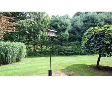 Yard/Garden.