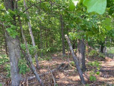 Lot 15 Brierton Ln, Bella Vista, AR 72715 - photo 4