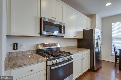 25205 Briargate Terrace, Chantilly, VA 20152 - photo 7