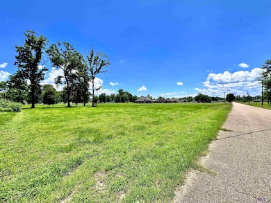 3224 Stanford Levy Rd, Darrow, LA 70725 - photo 2