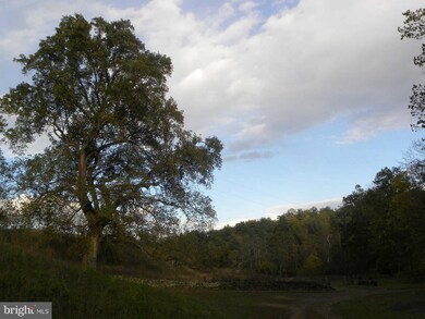 362 Old Hollow Rd, Sperryville, VA 22740 - photo 5