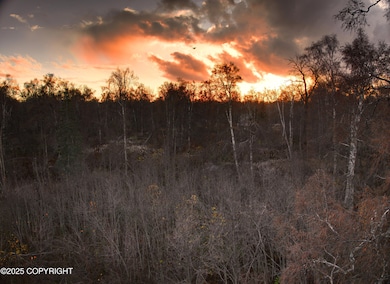 11360 E Fox Trail, Trapper Creek, AK 99683 - photo 5