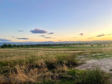 View from the back of the lot