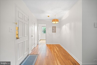 206 N Trenton St unit 4, Arlington, VA 22203 - photo 6