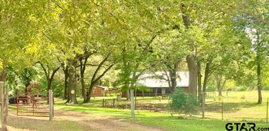 21061 Apache Rd, Tyler, TX 75705 - photo 3