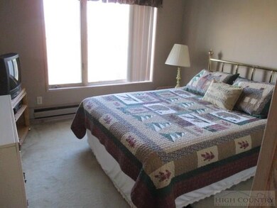 161 Skyleaf Dr unit E-20, Sugar Mountain, NC 28604 - photo 5