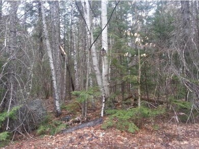 Lot 15 Judges, Thornton, NH 03223 - photo 2