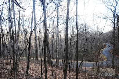 Another view from this lot in the winter months.