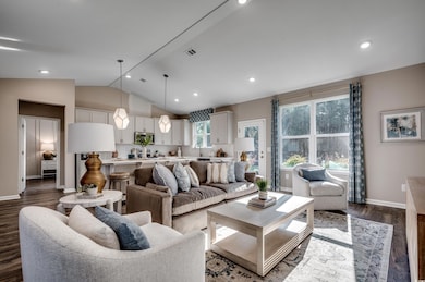 Living room with lofted ceiling, sink, and dark ha