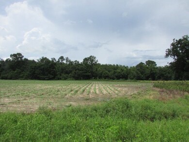 958 Camp Osborn Rd, Oakfield, GA 31772 - photo 2