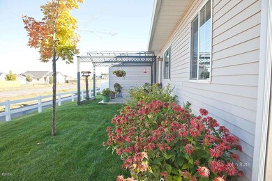 Back yard landscaping
