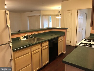 5001 Willow Branch Way unit 105, Owings Mills, MD 21117 - photo 6