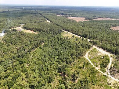 Aerial view of a heavily wooded area