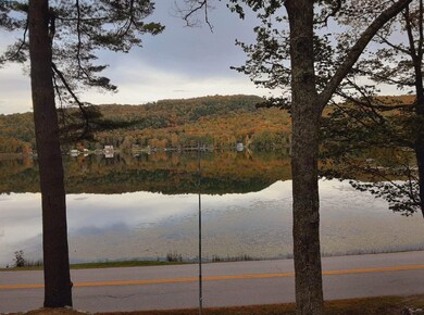 691 Burr Pond Rd, Sudbury, VT 05733 - photo 3