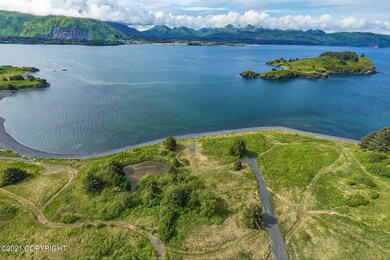 6103 Pinnacles Ct, Kodiak, AK 99615 - photo 6