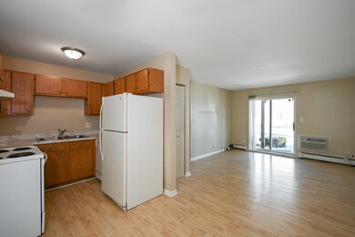 Living room and Kitchen