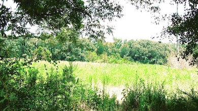 000 Eudon Best Rd, Ashford, AL 36312 - photo 6