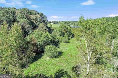 441 Expressway, Mount Airy, GA 30563 - photo 3