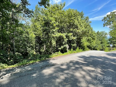 3287 Stones Throw Dr unit 3, Valdese, NC 28690 - photo 3