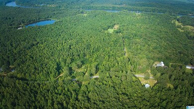 lot 9 Wester Dr unit Lot 9, Ragland, AL 35131 - photo 7