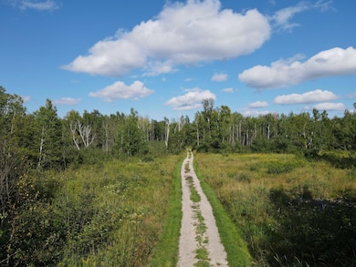 24007 Kestrel Ave, Mc Grath, MN 56350 - photo 7